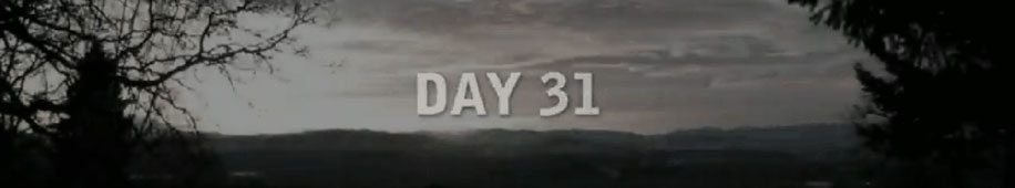 Day 31 (2010)