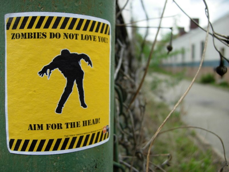 How_to_Survive_a_Zombie_Attack,_by_Acey_Duecy