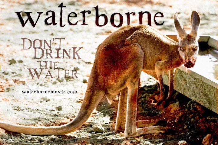 zombie-kangeroo