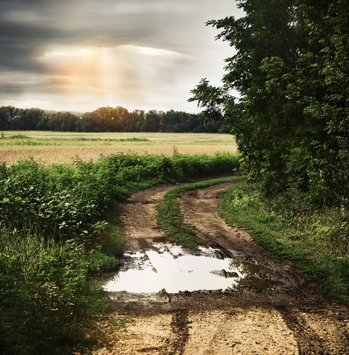 shutterstock_125558576