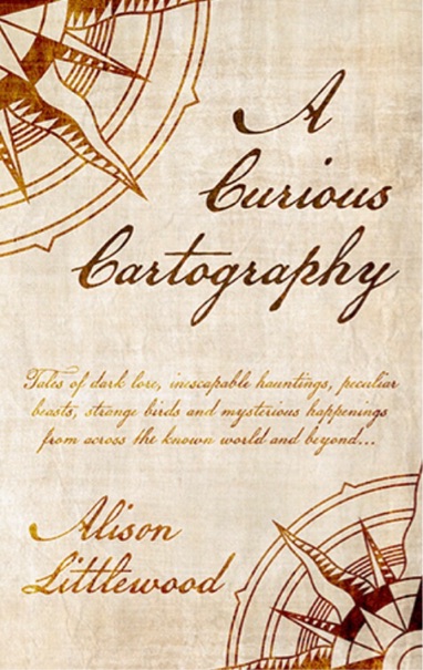 Book Review: A CURIOUS CARTOGRAPHY